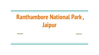 Ranthambore National Park , Jaipur
