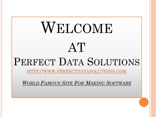 Perfect Data Solutions