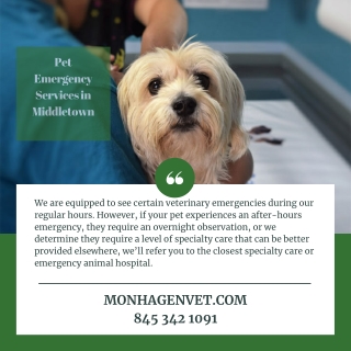 Pet Emergency Services in Middletown