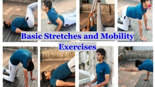 Basic Stretches and Mobility Exercises