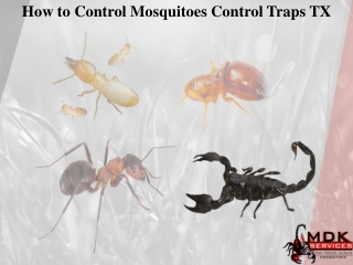 How to Control Mosquitoes Control Traps TX