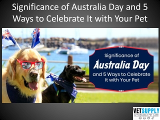 Ways to celebrate Australia Day with pets | Pet Care | VetSupply