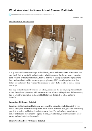 thepostingtree.com-What You Need to Know About Shower Bath tub