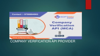 Company verification api provider