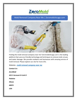 Mold Removal Company Near Me | Zeromoldchicago.com