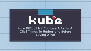 How Difficult Is It To Have A Pet In A City