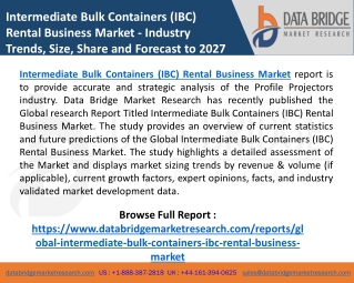 Intermediate Bulk Containers (IBC) Rental Business Market Companies, Business