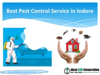 Best Pest Control Service in Indore - Ideal ASR Corporation