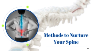 Methods to Nurture Your Spine