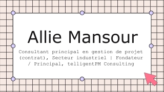 Allie Mansour - Un professionnel canadien axé sur les objectifs