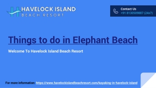 Things to do in Elephant Beach