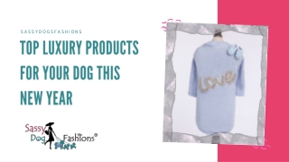 Top Luxury Products For Your Dog This New Year