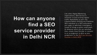 How can anyone find a SEO service provider in Delhi NCR