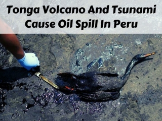 Tonga volcano and tsunami cause oil spill in Peru