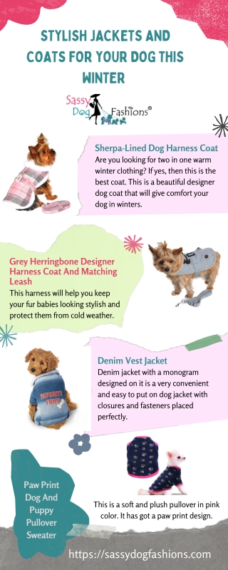 Stylish Jackets And Coats For Your Dog This Winter