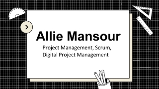Allie Mansour - A Highly Talented and Trained Expert