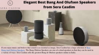 Elegant Best Bang And Olufsen Speakers from Sera Casdim
