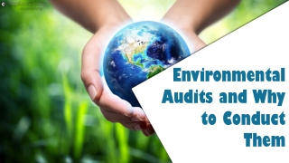Environmental Audits and Why to Conduct Them