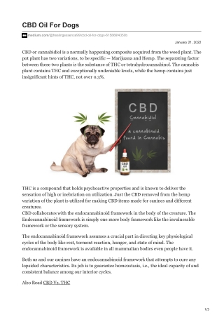 CBD Oil For Dogs