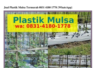 Jual Plastik Mulsa Termurah O83I-ᏎI8O-Iᜪᜪ8{WhatsApp}