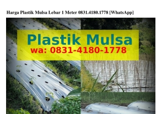 Harga Plastik Mulsa Lebar 1 Meter 08ᣮ1~Կ180~1ᜪᜪ8(WA)