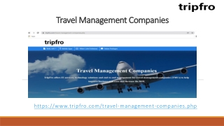 Travel Management Companies