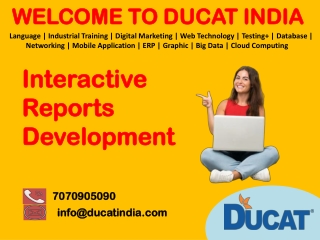 Interactive Reports Development
