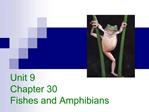 Unit 9 Chapter 30 Fishes and Amphibians