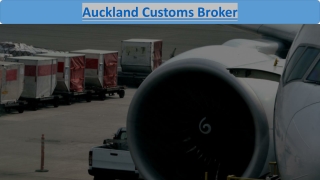 Best Auckland Customs Broker Services