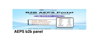 AEPS B2B panel