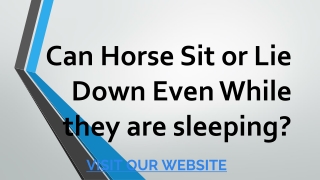 Can Horse Sit or Lie Down Even While they are sleeping