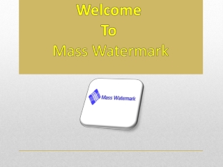 best mass watermark