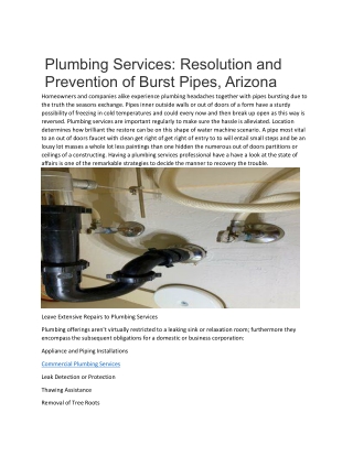 Plumbing Services- Resolution and Prevention of Burst Pipes, Arizona