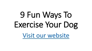 9 Fun Ways To Exercise Your Dog
