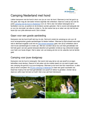 Camping Nederland met hond