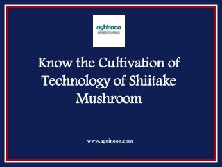 Know the Cultivation of Technology of Shiitake Mushroom