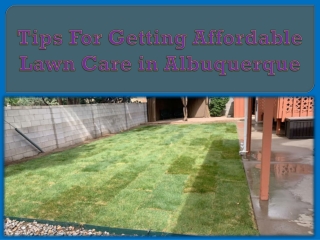 Tips For Getting Affordable Lawn Care in Albuquerque