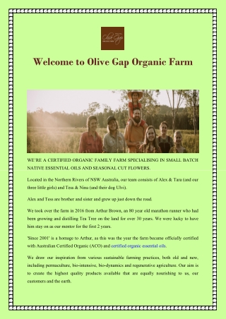 Welcome to Olive Gap Organic Farm