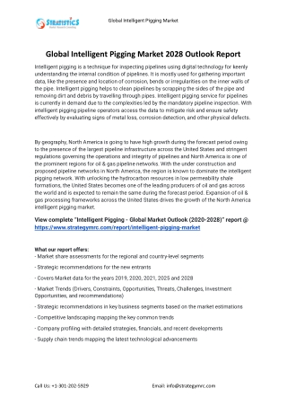 2021 Intelligent Pigging Industry Global Analysis Report
