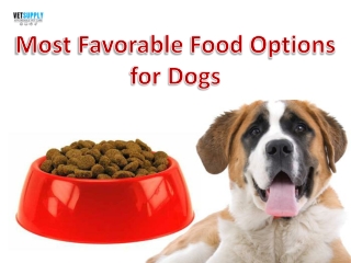 Most favorable food options for Dog | VetSupply