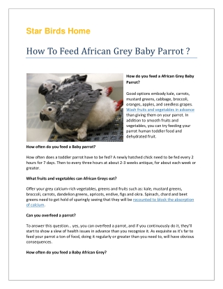 How To Feed African Grey Baby Parrot