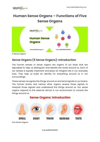 Human Sense Organs - Functions of Five Sense Organs - Takshila Learning
