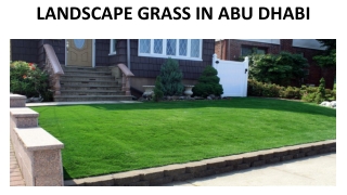 LANDSCAPE GRASS IN ABU DHABI