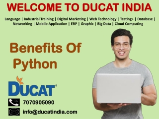 Benfits Of Python