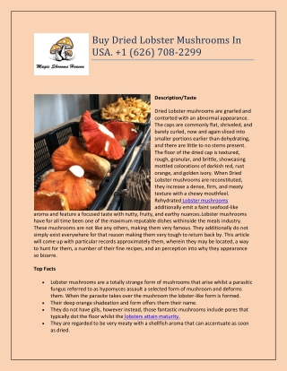 Buy Dried Lobster Mushrooms In USA