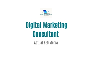 Digital Marketing Consultant