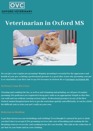 Veterinarian in Oxford MS