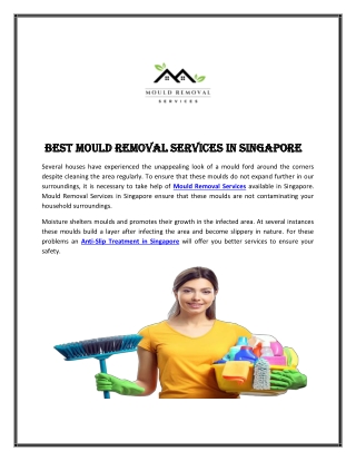 Best Mould Removal Services in Singapore