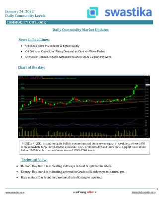 Commodity daily levels (24-Jan.)