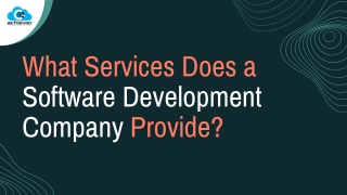 What services does a software development company provide